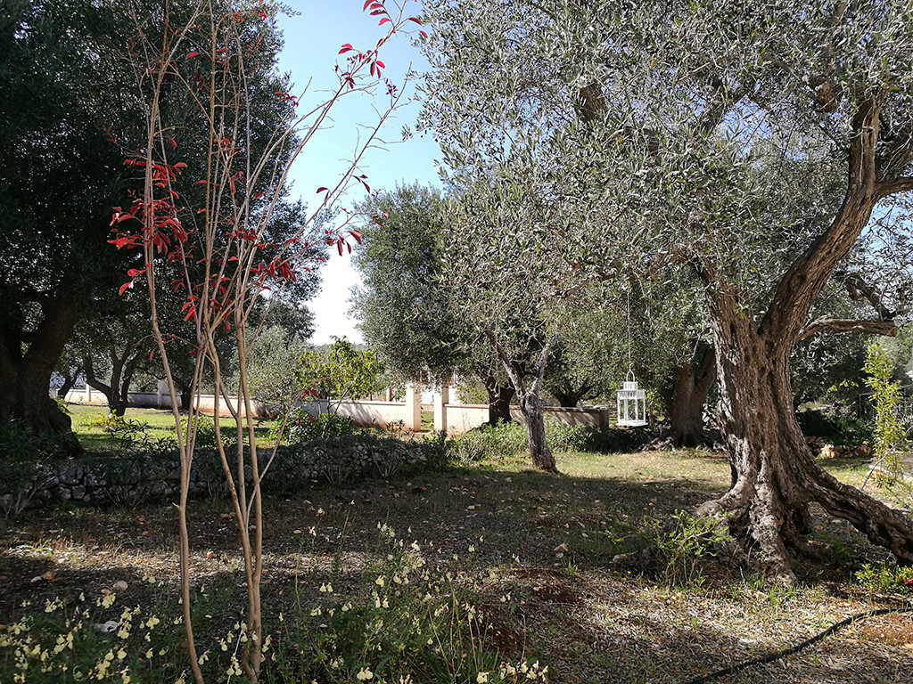 Il Trullo e il Fico Maison de charme