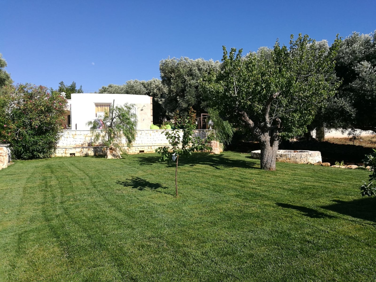Il Trullo e il Fico Maison de charme