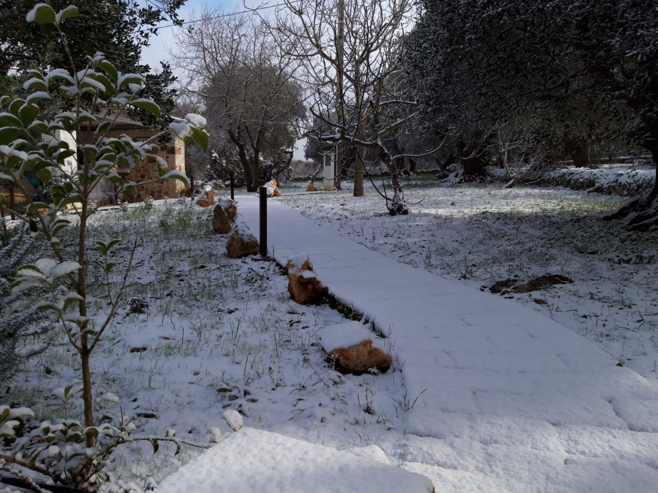 Il Trullo e il Fico Maison de charme